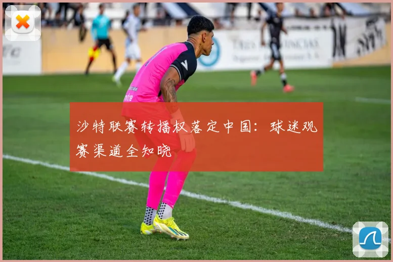 沙特联赛转播权落定中国：球迷观赛渠道全知晓
